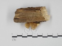 登錄號:F0005966藏品圖，第3張