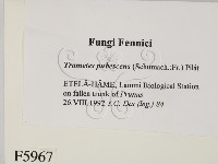 登錄號:F0005967藏品圖，第2張