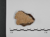 登錄號:F0005968藏品圖，第1張