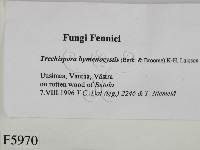 登錄號:F0005970藏品圖，第2張