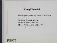 登錄號:F0005971藏品圖，第2張