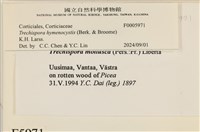 登錄號:F0005971藏品圖，第4張