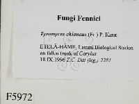 登錄號:F0005972藏品圖，第2張