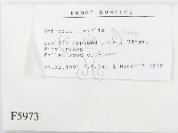 登錄號:F0005973藏品圖，第2張