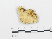 登錄號:F0005973藏品圖，第1張