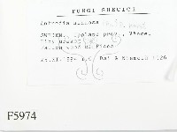 登錄號:F0005974藏品圖，第2張