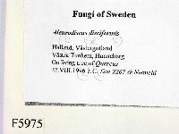 登錄號:F0005975藏品圖，第2張