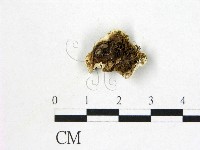 登錄號:F0005975藏品圖，第3張