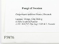 登錄號:F0005976藏品圖，第2張