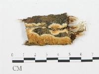 登錄號:F0005976藏品圖，第1張