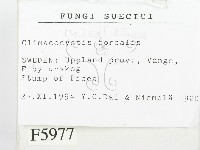 登錄號:F0005977藏品圖，第2張