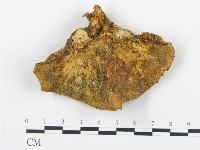 登錄號:F0005977藏品圖，第3張