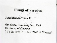 登錄號:F0005978藏品圖，第2張