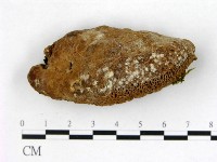 登錄號:F0005978藏品圖，第3張