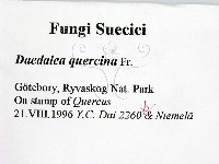 登錄號:F0005979藏品圖，第2張