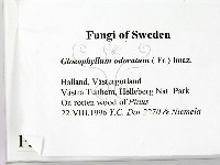 登錄號:F0005980藏品圖，第2張