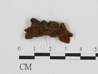 登錄號:F0005983藏品圖，第4張