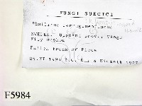 登錄號:F0005984藏品圖，第2張