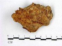 登錄號:F0005984藏品圖，第3張