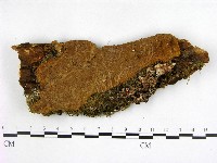 登錄號:F0005987藏品圖，第1張