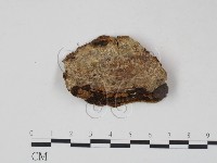 登錄號:F0005988藏品圖，第3張