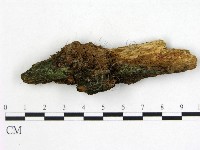 登錄號:F0005989藏品圖，第1張