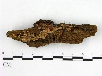 登錄號:F0005989藏品圖，第3張