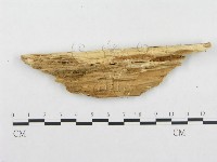 登錄號:F0005990藏品圖，第4張