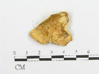 登錄號:F0005991藏品圖，第3張