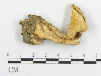登錄號:F0005992藏品圖，第1張