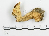 登錄號:F0005992藏品圖，第3張