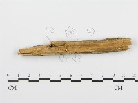 登錄號:F0005993藏品圖，第4張