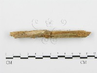 登錄號:F0005993藏品圖，第5張
