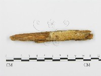 登錄號:F0005993藏品圖，第6張