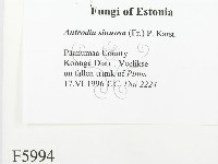 登錄號:F0005994藏品圖，第2張