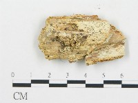 登錄號:F0005994藏品圖，第1張