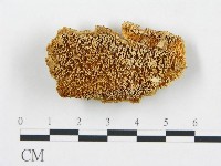 登錄號:F0005994藏品圖，第3張