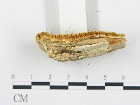 登錄號:F0005994藏品圖，第4張