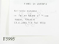 登錄號:F0005995藏品圖，第2張