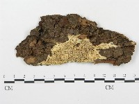 登錄號:F0005995藏品圖，第1張