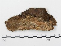 登錄號:F0005995藏品圖，第3張