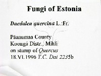 登錄號:F0005996藏品圖，第2張