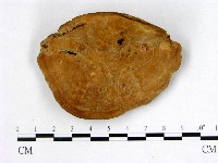 登錄號:F0005996藏品圖，第3張