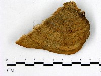 登錄號:F0005997藏品圖，第3張