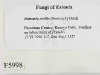 登錄號:F0005998藏品圖，第2張