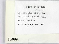 登錄號:F0005999藏品圖，第2張
