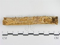 登錄號:F0006001藏品圖，第1張