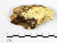 登錄號:F0006002藏品圖，第3張