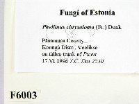 登錄號:F0006003藏品圖，第2張