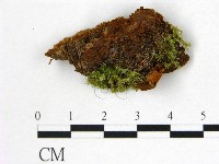 登錄號:F0006003藏品圖，第3張
